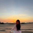 양떼푸드 | 차_ 나트랑가족여행/베나자 해돋이투어 후기/판랑사막투어/양떼목장/포롱자라이/포시즌스레스토랑/안...