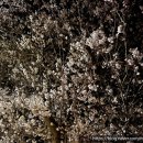 다시면행정복지센터 이미지