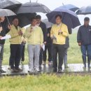 국도23호선가로수 이미지