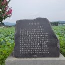 강학1리 티스토리