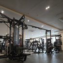 헬스보이짐&필라걸 분당 미금점 | [분당헬스장] 헬스보이짐 정자점 다녀온 솔직 후기 (헬린이도 만족!)