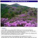 *****화순 안양산(853m)백마능선철쭉-무등산*****24년 5월6일(월)06시40분(시청)-07시(운동장1문) 이미지