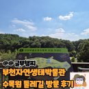 자연생태박물관 | 부천자연생태박물관 식물원 수목원 방문후기 가볼만한곳 데이트코스