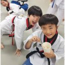 국가대표멘토태권도 이미지