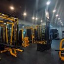 오늘의 피티(PT) 이미지