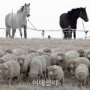 상서목장 이미지