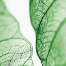 닥터모락 당산점 이미지