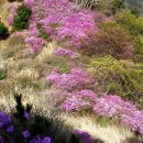 소계동105 이미지