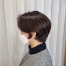 서하살롱 네이버블로그