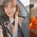 매일아침과일