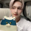 🐱세븐틴 준 달글 19🐱누가 문준휘야? 나앜!!!!! 고양이는 나야 둘이 될 수 없어 이미지