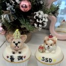 오로라 케이크&클래스 | 하남펫푸드클래스에서 배운 하남케이크만들기와 아지케이크 후기