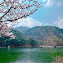 벚꽃마을경로당 이미지