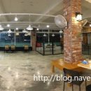 도그파우 이미지