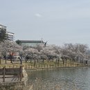 보문호반길 이미지