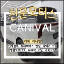루마 | 대구 카니발 신차패키지 시공후기! 루마버텍스1100과 900의 조합