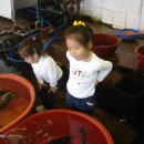 대천항 활어판매장 이미지