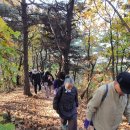장학리노루목길(봄내길 8코스) 이미지
