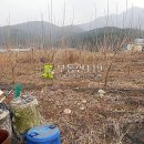 공주노인요양원 이미지