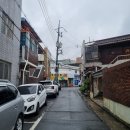 금성반점 이미지