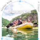 영월 동강 래프팅 완전 정복! 영월 최대 규모 프로그램 후기