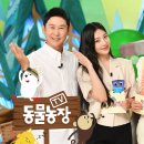 동물농장 이미지