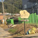 그루밍멍멍 | 청주 외곽에서 만난 반려견 천국! 푸르댕댕 다녀온후기