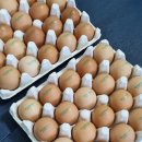 진정1농장 이미지