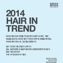 인프로페셔널 이미지