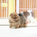 스테이 모량 이미지