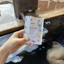 [내돈내산] 제주도 숙소 추천 ㅣ &#34;세도나중문풀빌라&#34; 자쿠지, 수영장 해외감성까지 모든게 완벽했던...