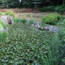 무궁화파크 이미지