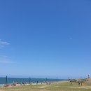 만푸장 아구찜 이미지