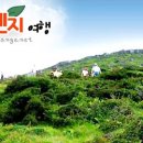 (주)고려여행 이미지