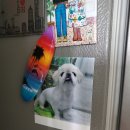 과천우주동물병원 이미지