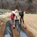 24시교동촌콩나물해장국밥 이미지