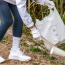 스테이 드레곤 이미지