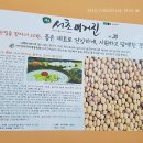 신박사 콩사랑 이미지