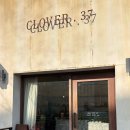 클로버. (clover)37 이미지