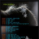 에프터레인 이미지
