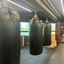 [부천 복싱] 부천팀타이거복싱GYM 리뷰 (+인바디 결과)