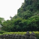 서귀동 천지연 생수궤 이미지