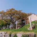 충청수영성 관광안내소 이미지