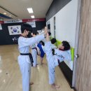 아주 소나무향기태권도 이미지