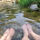 천진암 공중화장실 이미지