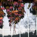 꽃마을펜션 이미지