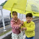 바깥놀이: 친구와 함께 우산을 쓰고 산책을해요(+자연물로 내 이름 꾸미기) 이미지