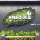그래채 이미지