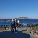 편안한제주도여행 네이버블로그