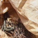 칠성환경자원 이미지